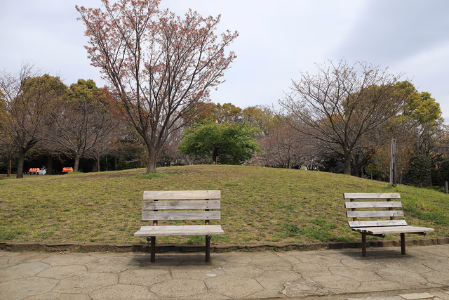 サムネイル画像