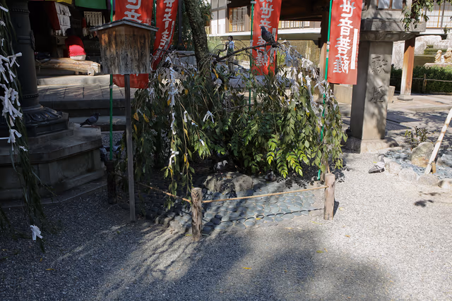 サムネイル画像